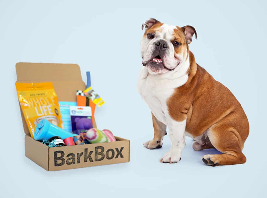 monthly pet gift box